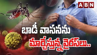 బాడీ వాసనను మార్చేస్తున్న వైరస్‌లు.. || MASQUITOS BITES VIRUS BODIES || ABN DIGITAL