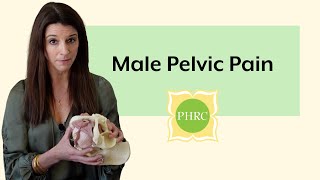 Male Pelvic Pain - What is it? Why Do Men Get it? And What Can They Do About it?