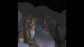 Crowfeather Couples Rant