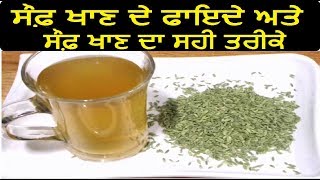 ਸੌਫ਼ ਖਾਣ ਦੇ ਫਾਇਦੇ ਅਤੇ ਸੌਫ਼ ਖਾਣ ਦਾ ਸਹੀ ਤਰੀਕੇ Saunf Benefits