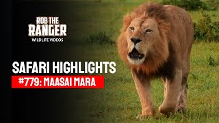 Safari Highlights #779: 26 January 2024 | Lalashe Maasai Mara | Latest #Wildlife Sightings