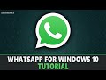 How To Download And Install WhatsApp On PC - (Quick & Easy)