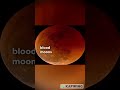 blood moon secrets why the moon turns red 🌕🔥 space moon shortsviral