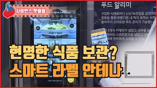 안테나가 달린 라벨로 식품을 현명하게 보관할 수 있다?  / YTN 사이언스