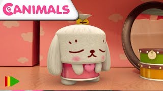 Canimals | Episodi 17 e 18 | Cartoni per BAMBINI | 10+ minuti