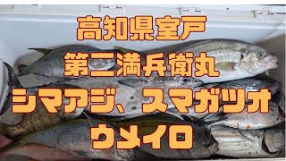 【高知室津港　第二満兵衛丸】シマアジ、スマガツオ、ウメイロ！