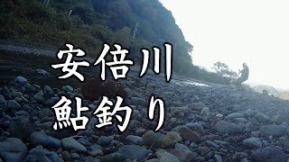 安倍川、鮎釣り。