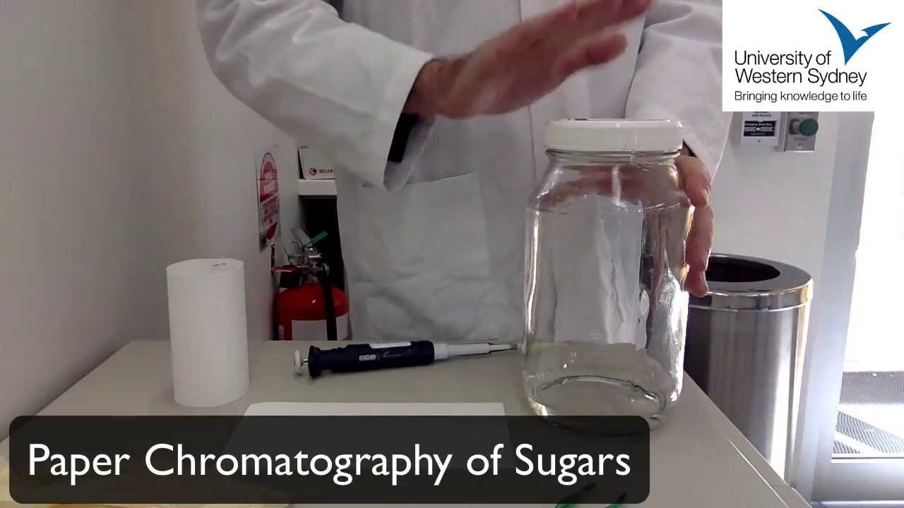 Quick Guide To Paper Chromatography (Part 1) - YouTube