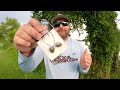 simple ned rig tricks for summer bass fishing