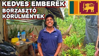 Sri Lankai Emberek BEENGEDTEK AZ OTTHONAIKBA 🇱🇰