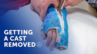Having your cast removed at Boston Children’s Hospital | Boston Children's Hospital