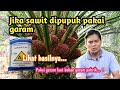 Baja sawit daripada garam meja (cara membuat)