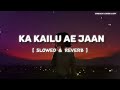 ka kailu ae jaan slowed u0026 reverb pawan singh anupama yadav bhojpuri holi sad song