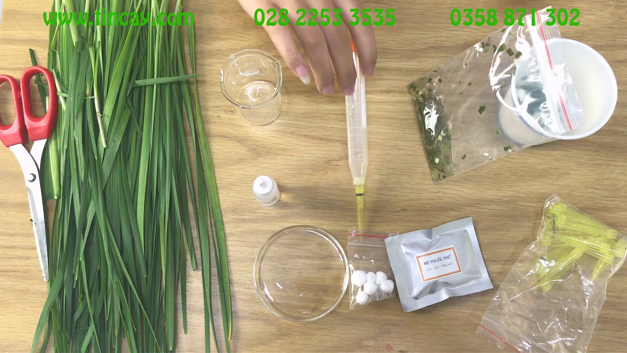 Hdsd Test Vpr10 Youtube