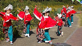 よさこい踊り子隊「幻」-kagerou- @ Mよさフェス (中勢グリーンパーク) 2020-11-22T13:23