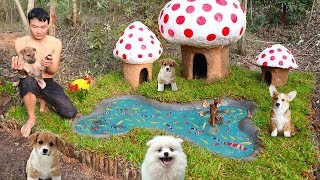 Rescue Abandoned Puppies Building Mud House Dog And Fish Pond For Black Fish