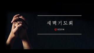 11월 10일 (목) 새벽기도회 | 이동석 목사