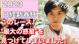 【競馬予想　日経新春杯2023】このレース最大の惑星を見つけてしまいました。それはヴェルトライゼンデ？ロバートソンキー？ヴェローナシチー？プラダリア？ヤマニンゼスト？ハヤヤッコ？はたまたそれより穴馬？