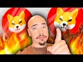 SHIBA INU COIN PRICE REACTING TO MAJOR SHIBA INU UPDATES!