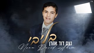 בליבי בתוכי | נעם דוד אהרן| Noam David Aharon|