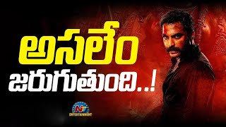 Gangs Of Godavari Box Office Collections Update | Vishwak Sen || @NTVENT