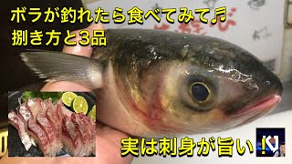 #ボラ#釣り#外道【沖ボラ】実は美味しいボラ料理　万能に使えるこの魚　カラスミだけじゃもったいない