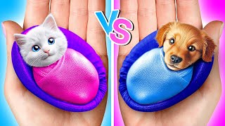 Cats VS Dogs 🐶😻 *Rich vs Poor DIY Gadgets and Fidget Hacks for Pet Owners*