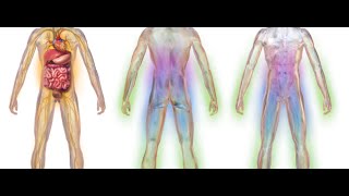 Video Explanation: What is Diabetic Peripheral Neuropathy?