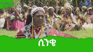 ከዳሎል እስከ ራስ ደጀን ሲንቄ የሰላም በትር Etv | Ethiopia | News