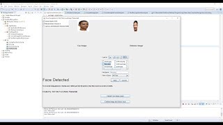 Facial Recognition in Pure Java.