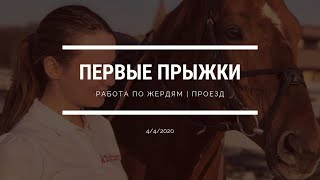 Первые прыжки | Работа по жердям | Проезд