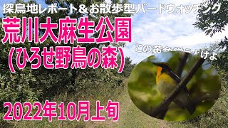 荒川大麻生公園(ひろせ野鳥の森)の探鳥地レポートです　キビタキ！　2022年10月上旬