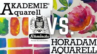 Schmincke AKADEMIE VS HORADAM! Vergleich und Erklärung - Einfach und Klar!Test Preise /Qualität 2022