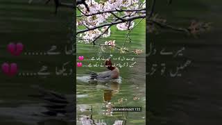 Poetry Mere Dil Ka Dard Kiss Ne He Saeed Aslam | Urdu Shayari Whatsapp Status video Punjabi Poetry