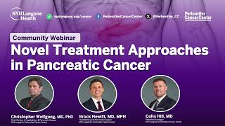 Novel Treatment Approaches for Pancreatic Cancer