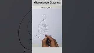 Compound Microscope Drawing #shorts #microscopedrawing #youtubeshorts