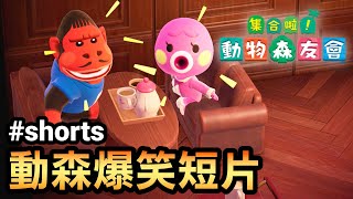 【集合啦！動物森友會】動森爆笑短片 #shorts #shortstw