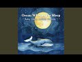 The Deep Sea Sound (Relax Deeply)