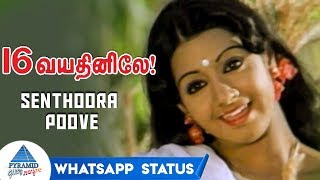Senthoora Poove Whatsapp Status | 16 Vayathinile Tamil Movie Songs | Kamal Haasan | Sridevi