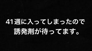 【妊娠記録】出産予定日を1週間過ぎたので明日誘発剤が待ってます…。