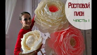 Paper Flowers | How to make a GIANT PEONY | Part 1