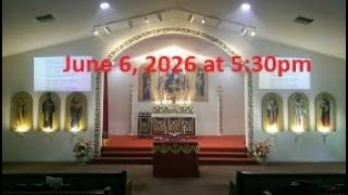 Thomas P. Mathew Live Stream Service