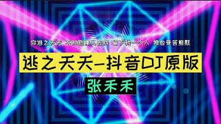 逃之夭夭（抖音DJ原版） - 张禾禾，SQ无损音质，你逃之夭夭，不知道哪去找，留下我一个人，独自受苦煎熬！【動態歌詞/Lyrics Video】2021 TikTok ，#逃之夭夭#DJ#张禾禾