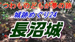 つわものどもが夢の跡・城跡めぐり24　\