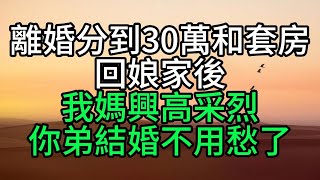 離婚分到30萬和套房，回娘家後，我媽興高采烈：你弟結婚不用愁了【花好月圓心語】