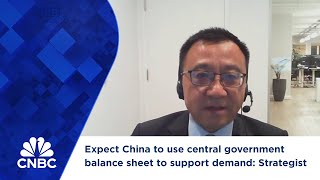 Expect China to use central government balance sheet to support demand: Strategist