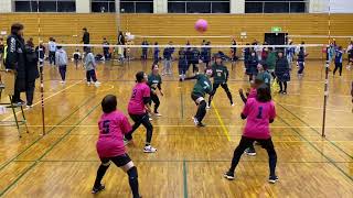 『女子ブル』🆚すかがわ【T190部門】2025.1.19@ふくしまレディース大会🏐『ソフトバレー』 in郡山安積