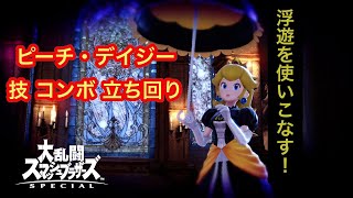 【スマブラsp】ピーチ・デイジー　実践的技コンボ立ち回り