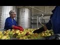 ADB and Kazakhstan: Developing the Agricultural Business Sector