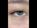 MYEYEYBB Neo Sunflower Brown Colored Contact Lenses | Prescription